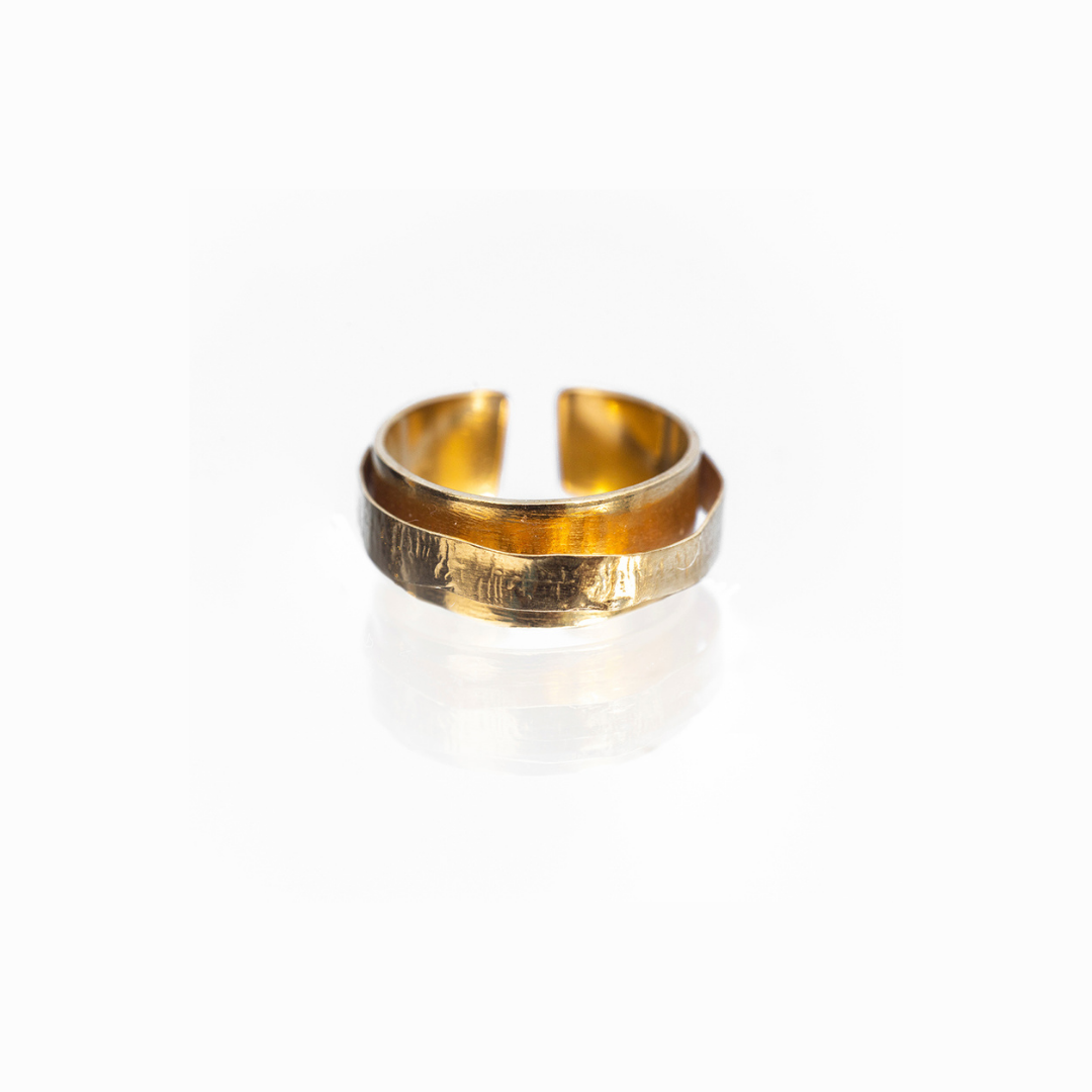 EARTH RING
